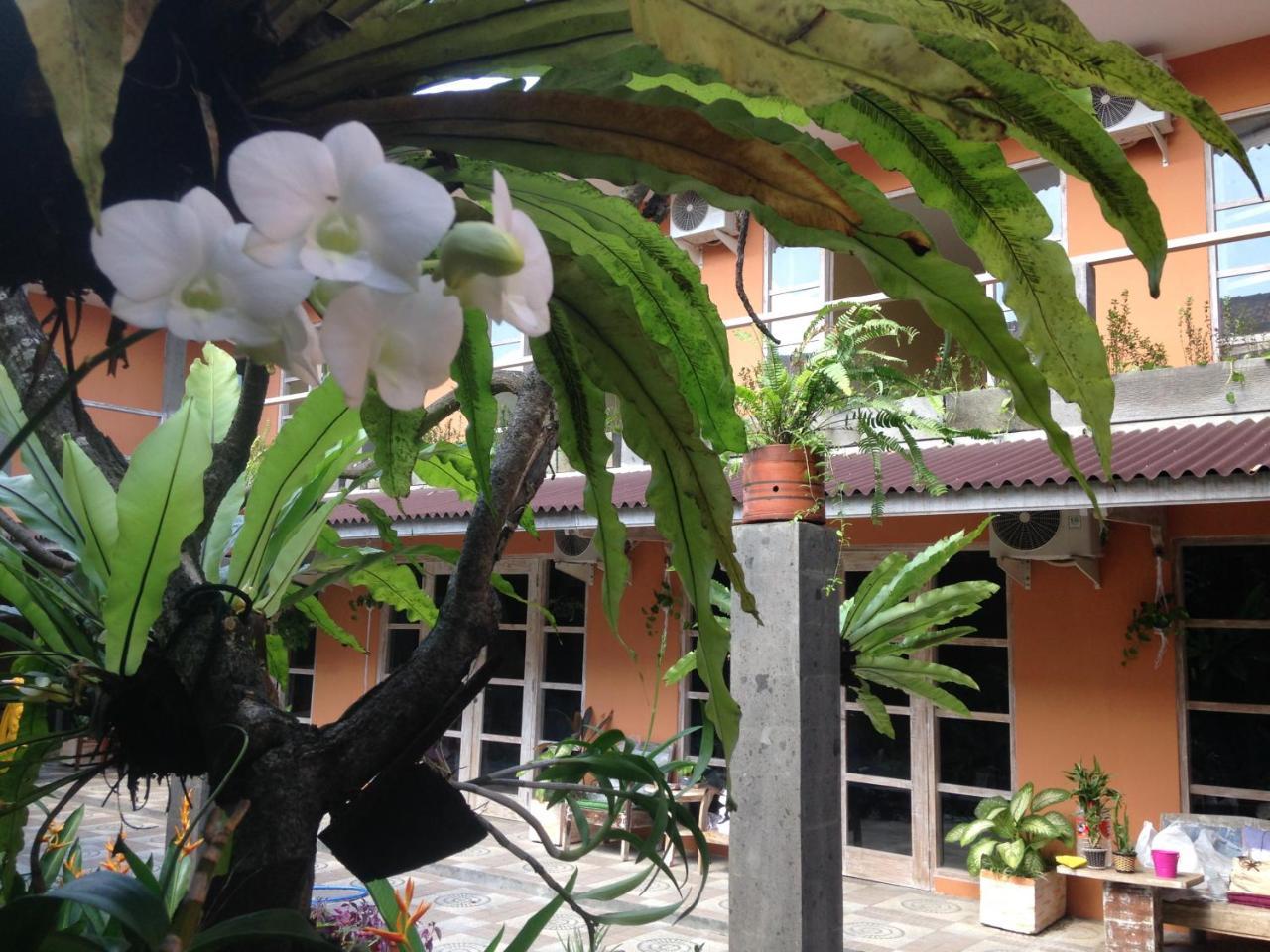 Canggu Pinpoint Rooms ภายนอก รูปภาพ